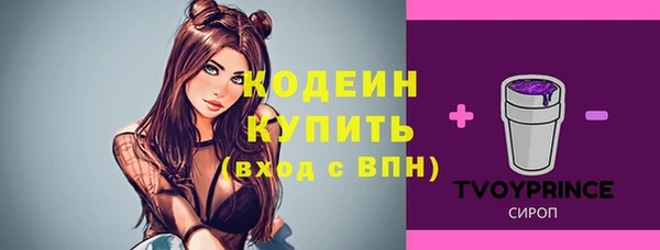 spice Вяземский