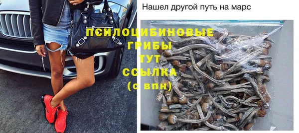 spice Вяземский