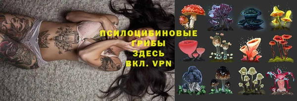 амф Горно-Алтайск