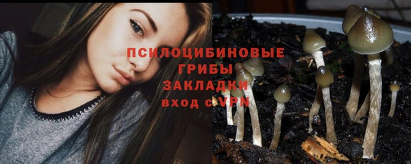 mdpv Горняк