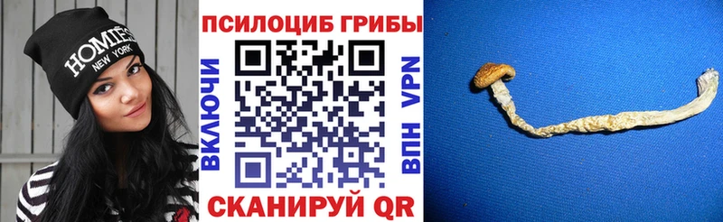 Галлюциногенные грибы прущие грибы  сколько стоит  Малаховка 